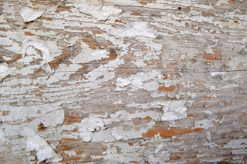 Wood background, Wooden texture