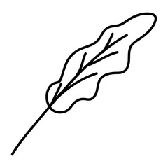 autumn leaf plant seasonal icon