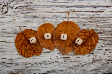 autumn inscription on dry leaves on a wooden background, the concept of autumn mood and weather