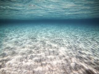 Fototapeta na wymiar Clear water. Underwater background with sandy sea bottom.