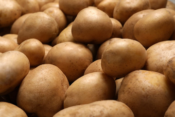 Fototapeta premium Raw fresh organic potatoes as background, closeup