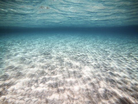 Clear water. Underwater background with sandy sea bottom.