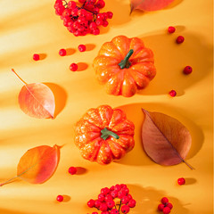 Autumn composition with pumpkins, rowan berries on sunny yellow background in harsh light. Fall, thanksgiving concept.