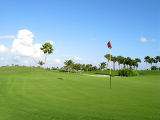 Tropical Golf Course