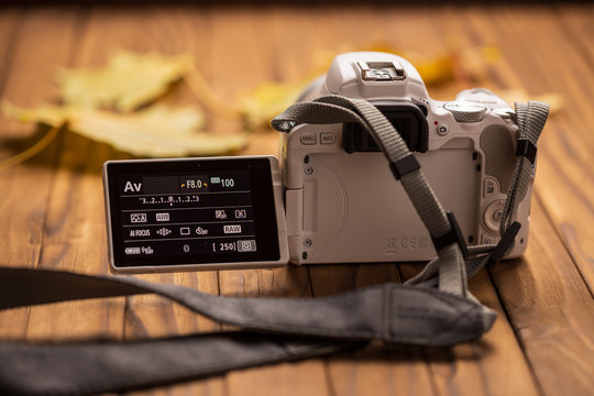 Still life with white dslr camera and yellow leaves on wood background
