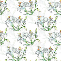 Lily.Seamless pattern of flowers on a white and colored background.