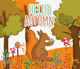 squirrel acorn hello autumn design icon