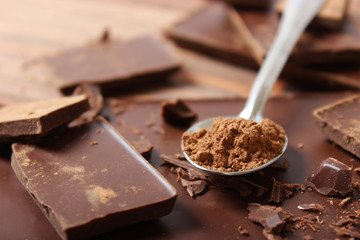 pieces of chocolate and cocoa powder on the table.