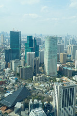 view to to tokyo city from the skyscraper