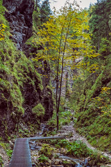 Janosik Holes, Little Fatra, Slovakia, hiking theme