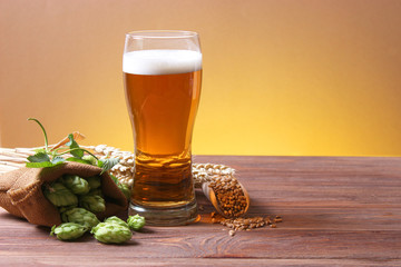 Beer, wheat and hops on the table.