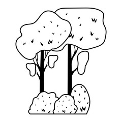 seasonal forest autumn landscape scene