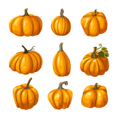 Pumpkin, Thanksgiving and Halloween vector icons