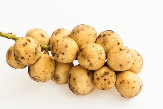 Asia fruit langsad in the line longong fruit are tasty good, Yellow fruit on white background 