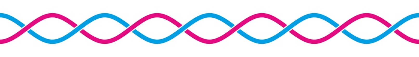 DNA0310a © Fiedels