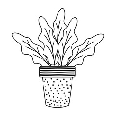 autumn plant in ceramic pot seasonal icon