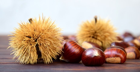 Kastanien - Esskastanien - Kastanienigel auf einem braunen Holztisch