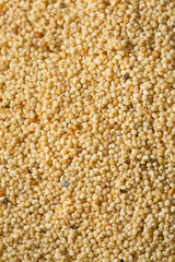Raw Organic White Poppy Seeds