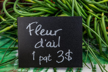Organic produce at a farmer's market. A French Canadian price sign, saying garlic flowers (Allium sativum), is seen closeup on a market stall with fresh green garlic stalks in the background