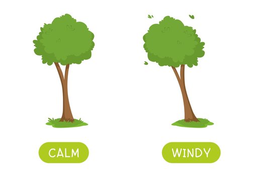 Childish educational word card with antonyms template. Flashcard for english language studying. Opposites, weather concept, calm and windy. Still and swaying trees flat illustration with typography