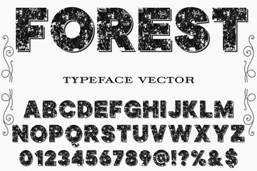 abc Font alphabet Script Typeface handcrafted handwritten vector label design old style forest