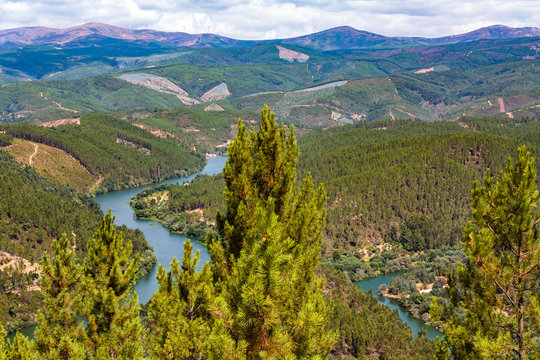 Meander of the river Z&ecirc;zere with mountains on the background