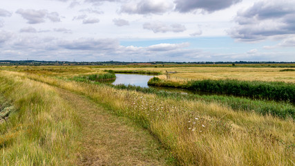 Environment of the mud flats in the Dengie Penisula around South Woodham Ferrers. Essex. UK