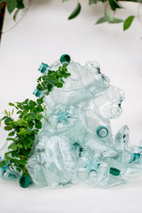 Greens wraps and grows on empty plastic bottles. Sort garbage. Ecosystem recovery