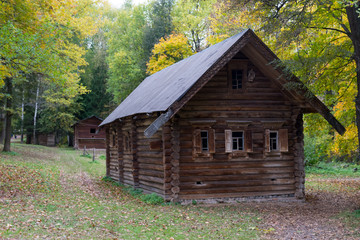 wooden house in the forest