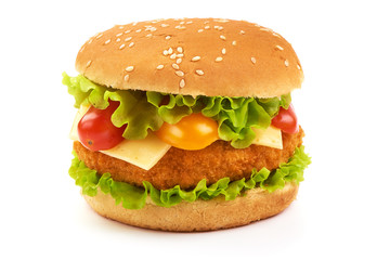 Fresh tasty burger, american hamburger, fastfood, isolated on white background