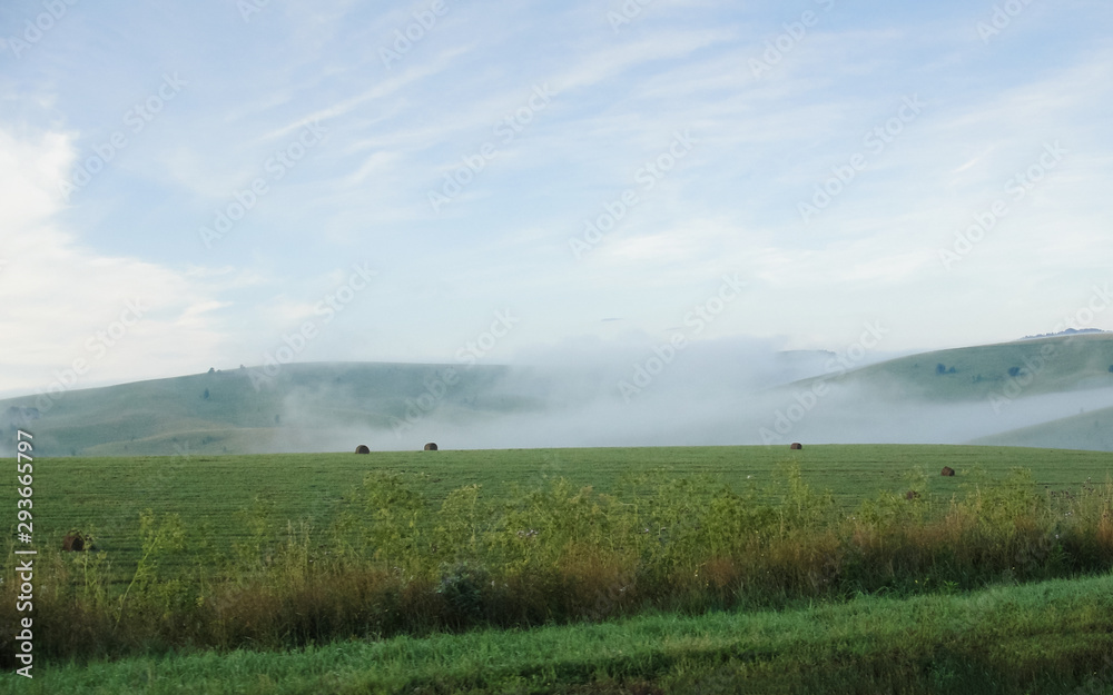 Wall mural mist over green field fog at road highway