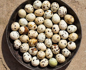 Quail eggs are considered a delicacy in many parts of the world.
