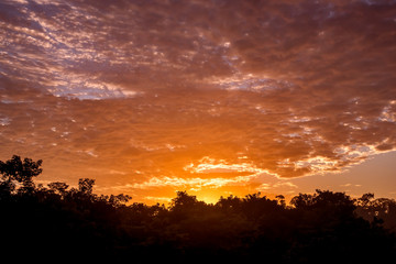 Fototapeta na wymiar Sunrise photographed in Linhares, Espirito Santo. Southeast of Brazil. Atlantic Forest Biome. Picture made in 2013.