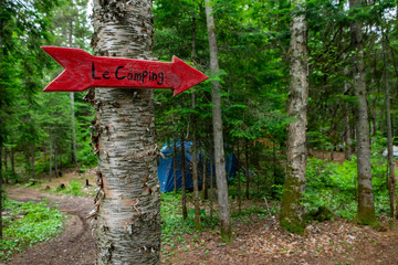 Diverse people enjoy spiritual gathering A small red arrow is seen fixed to a tree in dense woodland, giving directions to a campsite retreat, with copy space on the right.