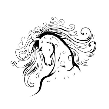 Hand drawing Unicorn for adult anti stress coloring pages, artistic fairy tale magic animal, vector tattoo. Fashion print.