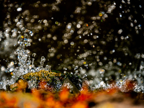 water falls