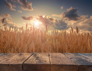 Rustic textured wooden board table in front of summer beautiful rye field in sunset light. Ready...