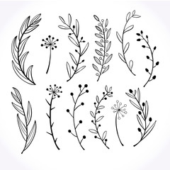 Set of hand-drawn doodle floral elements. Doodle botanical elements.Vector graphics.