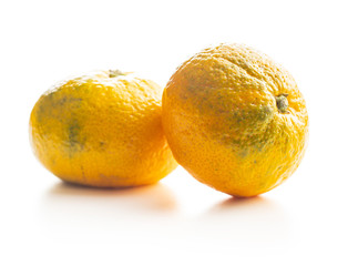 Fresh yellow tangerines.