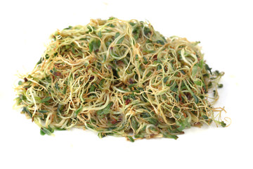 alfalfa on a white background