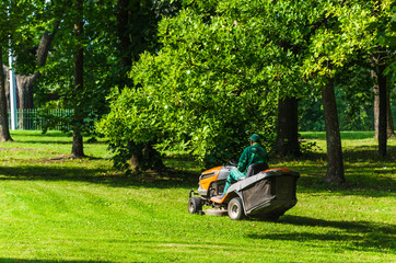 worker in a green jumpsuit mows the grass with a mechanical lawn mower in a summer park