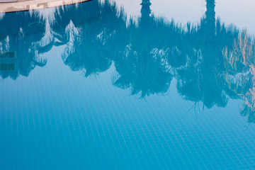 Reflection of palm trees in the pool water. Summer holidays, vacation and tourism.