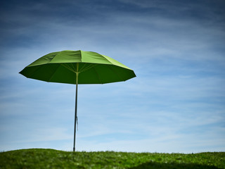 umbrella on green grass