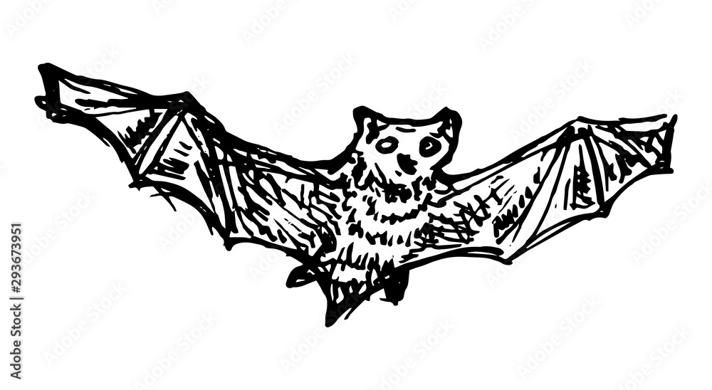 Poster Hand Drawn bat doodle. Sketch style icon. Decoration element. Isolated on white background. Flat design. Vector illustration