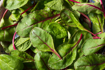 Raw Green Organic Baby Beet Greens