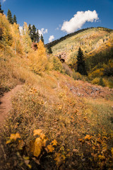 Landscape view of the mountains in Vail, Colorado covered in fall foliage. 