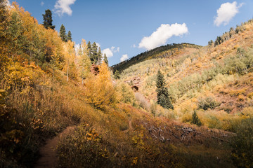 Landscape view of the mountains in Vail, Colorado covered in fall foliage. 