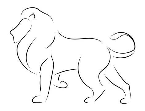 Black line lion on white background