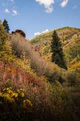 Landscape view of the mountains in Vail, Colorado covered in fall foliage. 