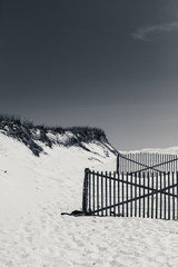 Cape Cod Beach